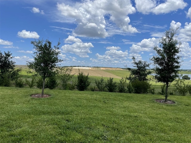 view of yard featuring a rural view