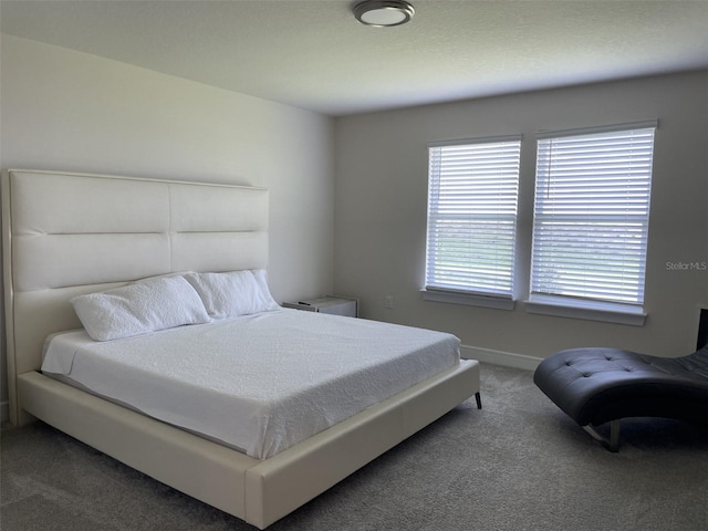 carpeted bedroom with multiple windows