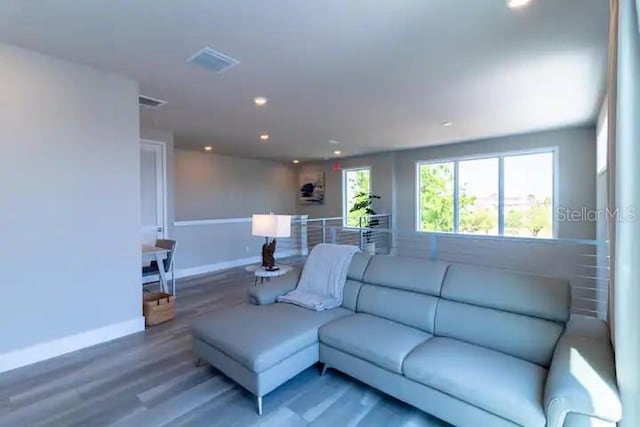 living room featuring wood-type flooring