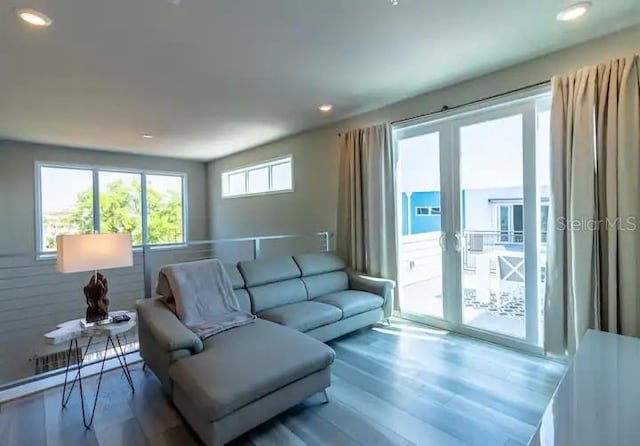 living room featuring hardwood / wood-style floors