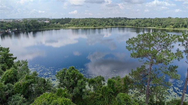 property view of water