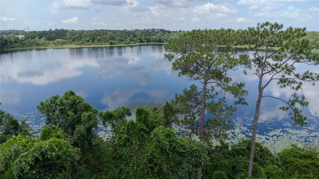 property view of water