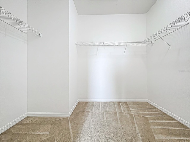 spacious closet featuring carpet floors