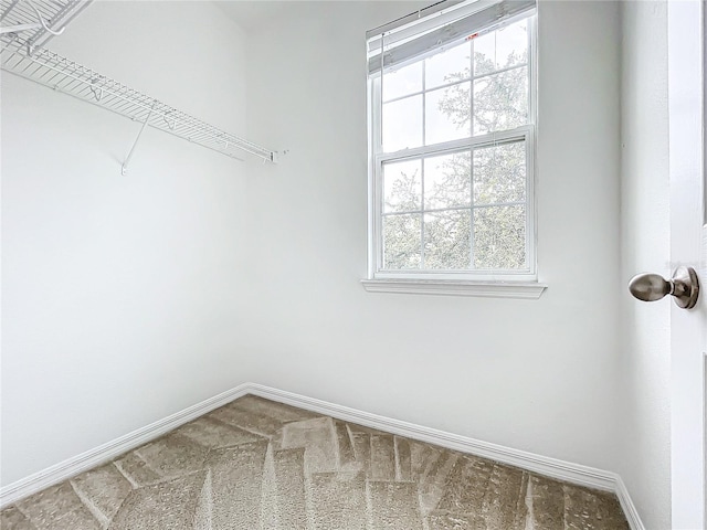 walk in closet featuring carpet