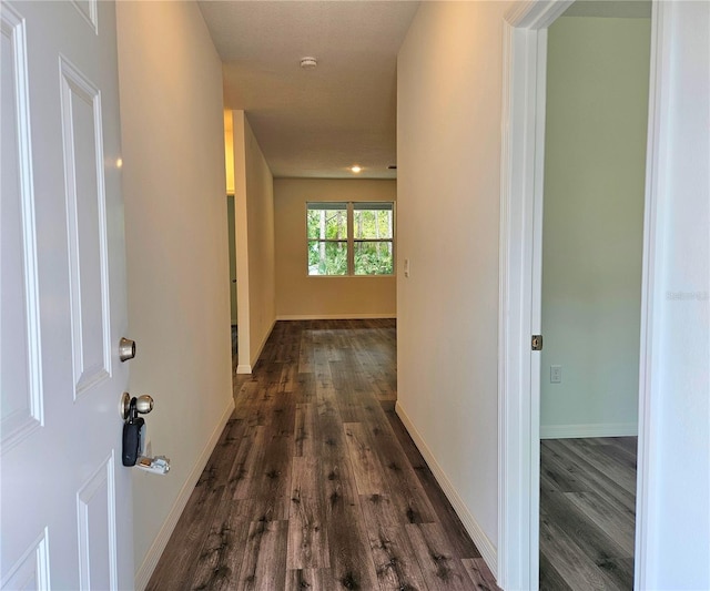 hallway featuring dark hardwood / wood-style floors