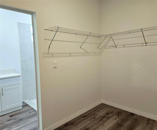 walk in closet featuring wood-type flooring