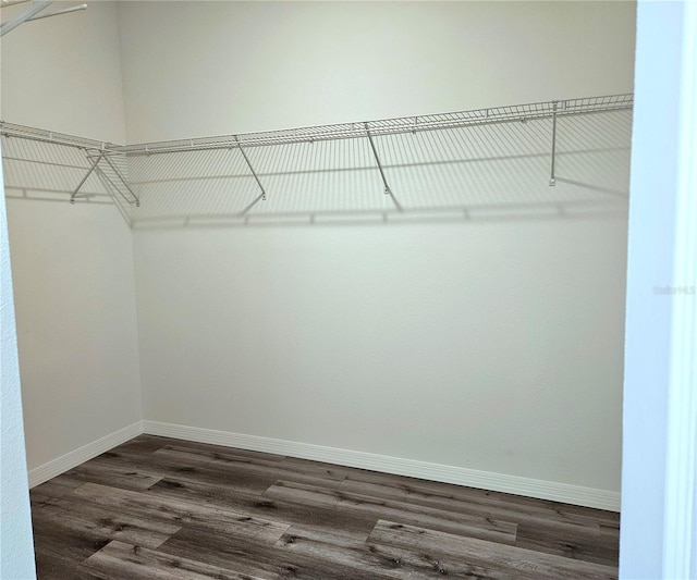 walk in closet with dark hardwood / wood-style floors