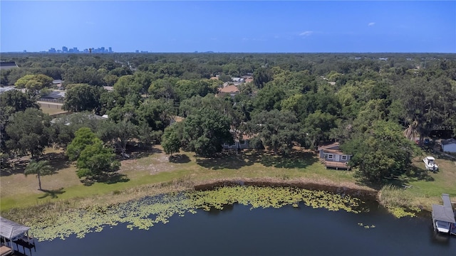 birds eye view of property featuring a water view and a forest view