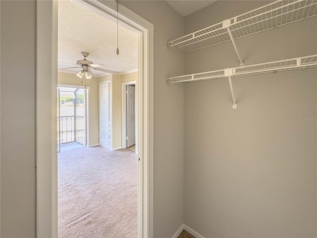 view of closet