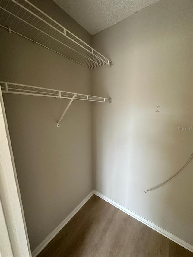 walk in closet with hardwood / wood-style flooring