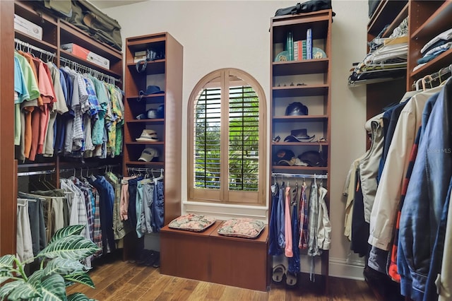 spacious closet with wood-type flooring