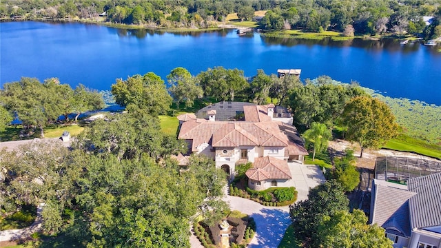 aerial view with a water view