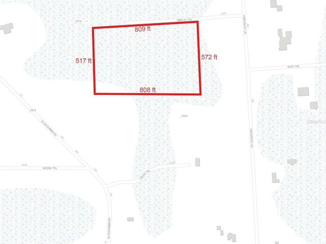 Listing photo 3 for Amelia Trl, Kissimmee FL 34747