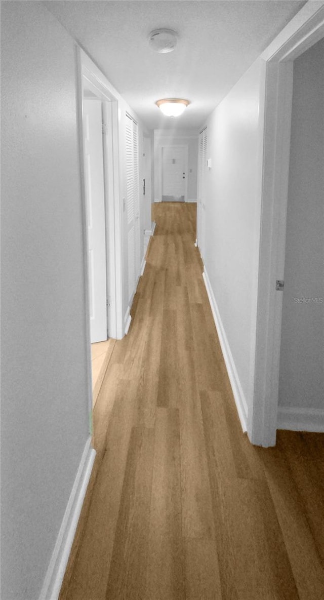 corridor with wood-type flooring