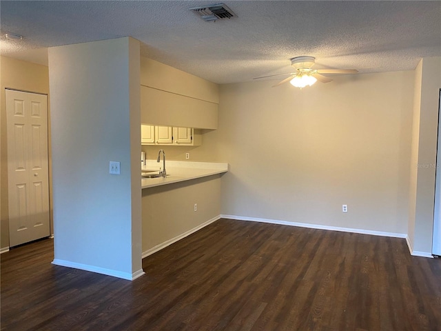 interior space with sink, ceiling fan, dark hardwood / wood-style floors, and a textured ceiling