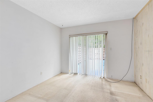 empty room featuring carpet and a textured ceiling