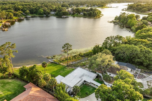 drone / aerial view with a water view