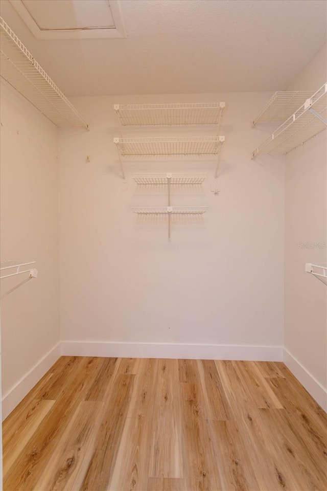 walk in closet featuring hardwood / wood-style flooring