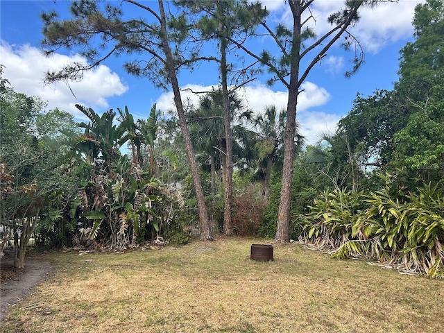 1201 Thornbury Ct, Winter Garden, FL 34787 - view of yard