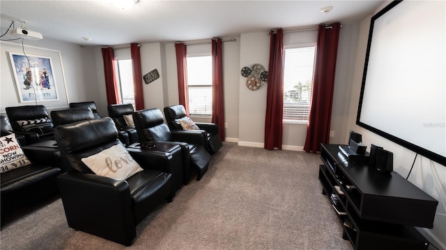 view of carpeted home theater