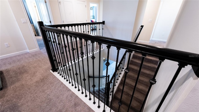 staircase featuring carpet flooring