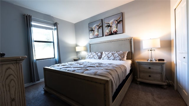 bedroom with dark carpet and a closet