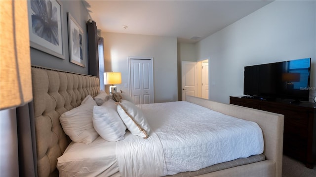 bedroom with a closet and carpet floors