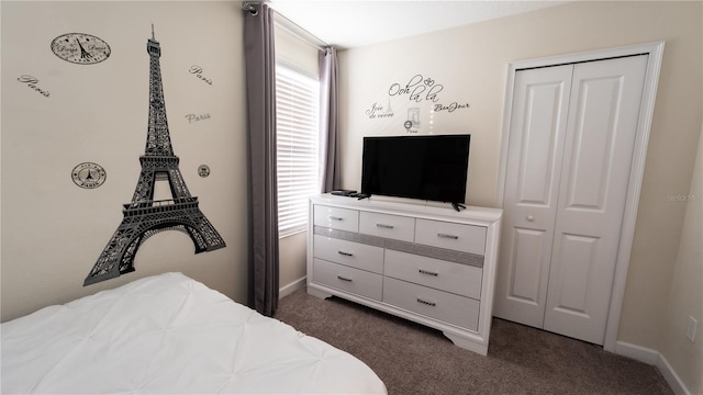 carpeted bedroom featuring a closet