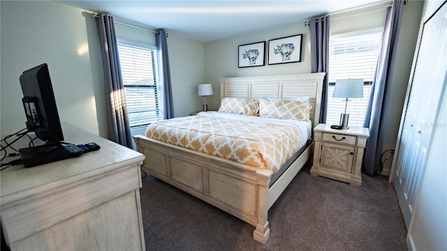 bedroom featuring a closet and dark colored carpet