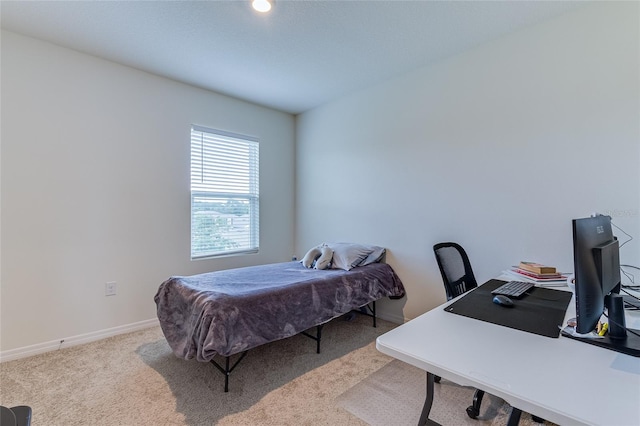 bedroom with carpet