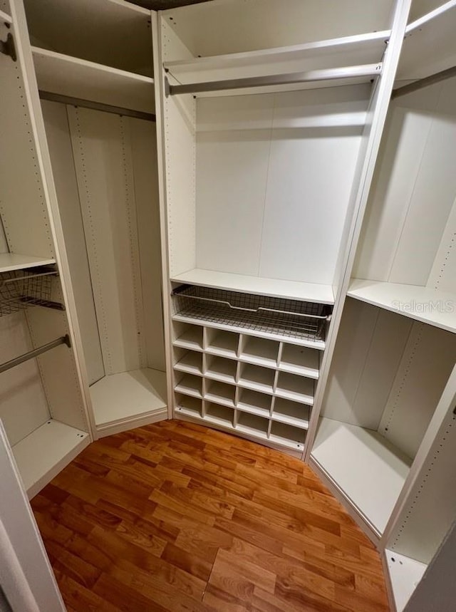 spacious closet with wood-type flooring