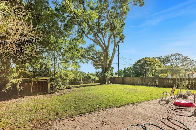 view of yard featuring a patio