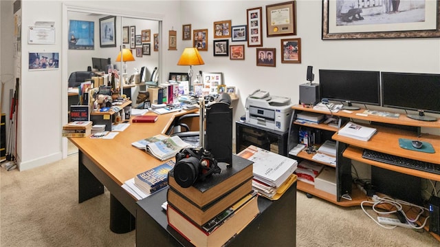 office space featuring carpet floors