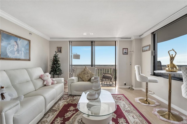 living room featuring crown molding