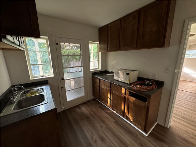 kitchen featuring sink, dark brown cabinetry, and dark hardwood / wood-style flooring