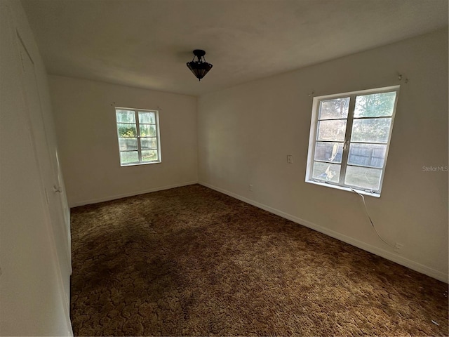 carpeted empty room featuring a wealth of natural light