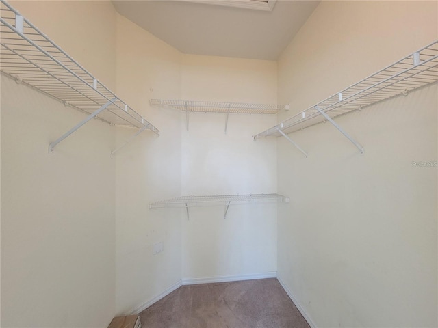 view of spacious closet