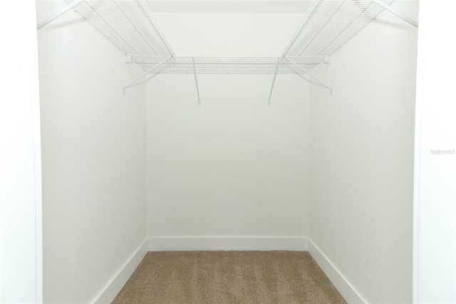 spacious closet with carpet