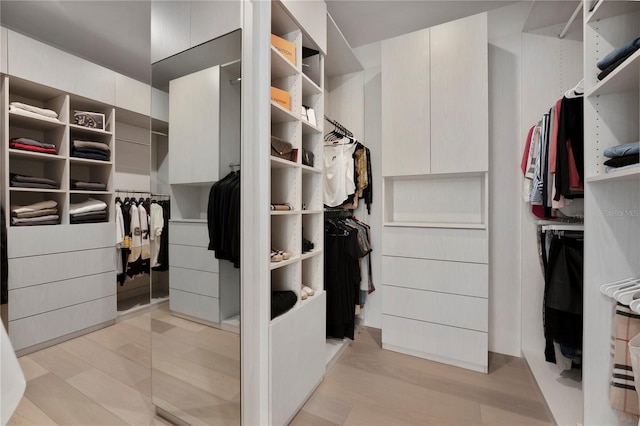 view of walk in closet