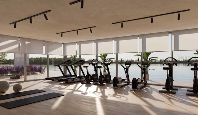 workout area with floor to ceiling windows, wood-type flooring, a water view, and rail lighting