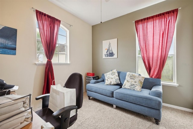 living room with carpet flooring