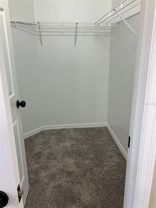 walk in closet with dark colored carpet