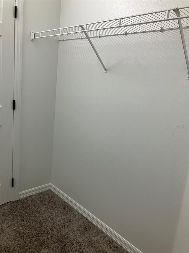 spacious closet with carpet