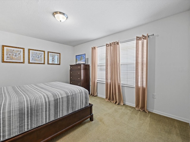 bedroom with carpet