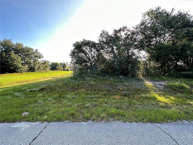 Listing photo 2 for Mediterranean Dr, Kissimmee FL 34759