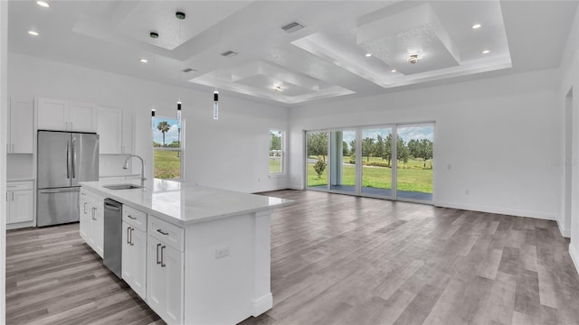 kitchen with white cabinetry, a tray ceiling, stainless steel appliances, light hardwood / wood-style flooring, and a kitchen island with sink