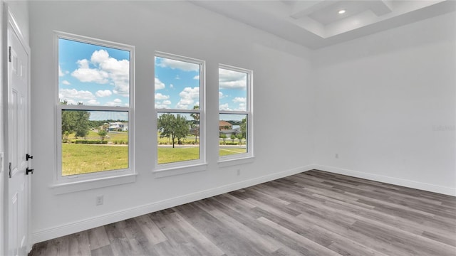 empty room with hardwood / wood-style flooring