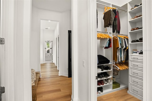 walk in closet with light wood-type flooring