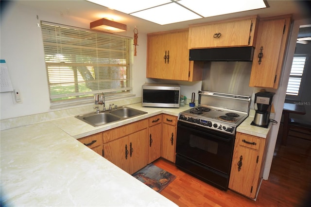 kitchen with wood-type flooring, sink, plenty of natural light, and white stove