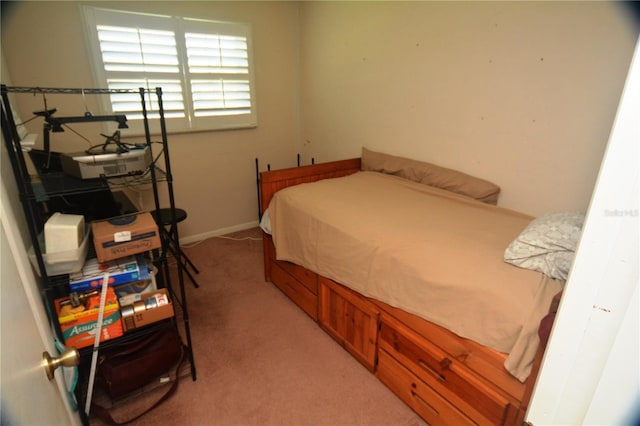 bedroom with carpet flooring